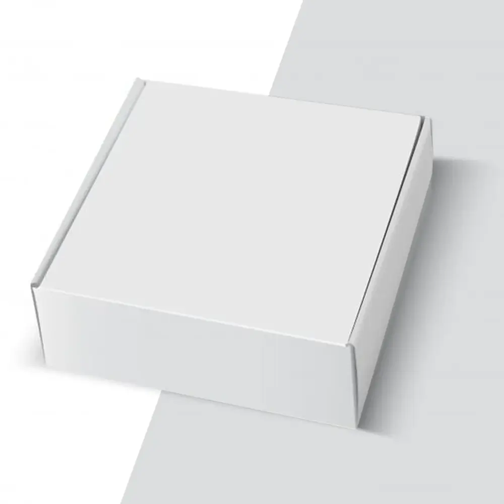 Blank Mailer Boxes 3 (1)