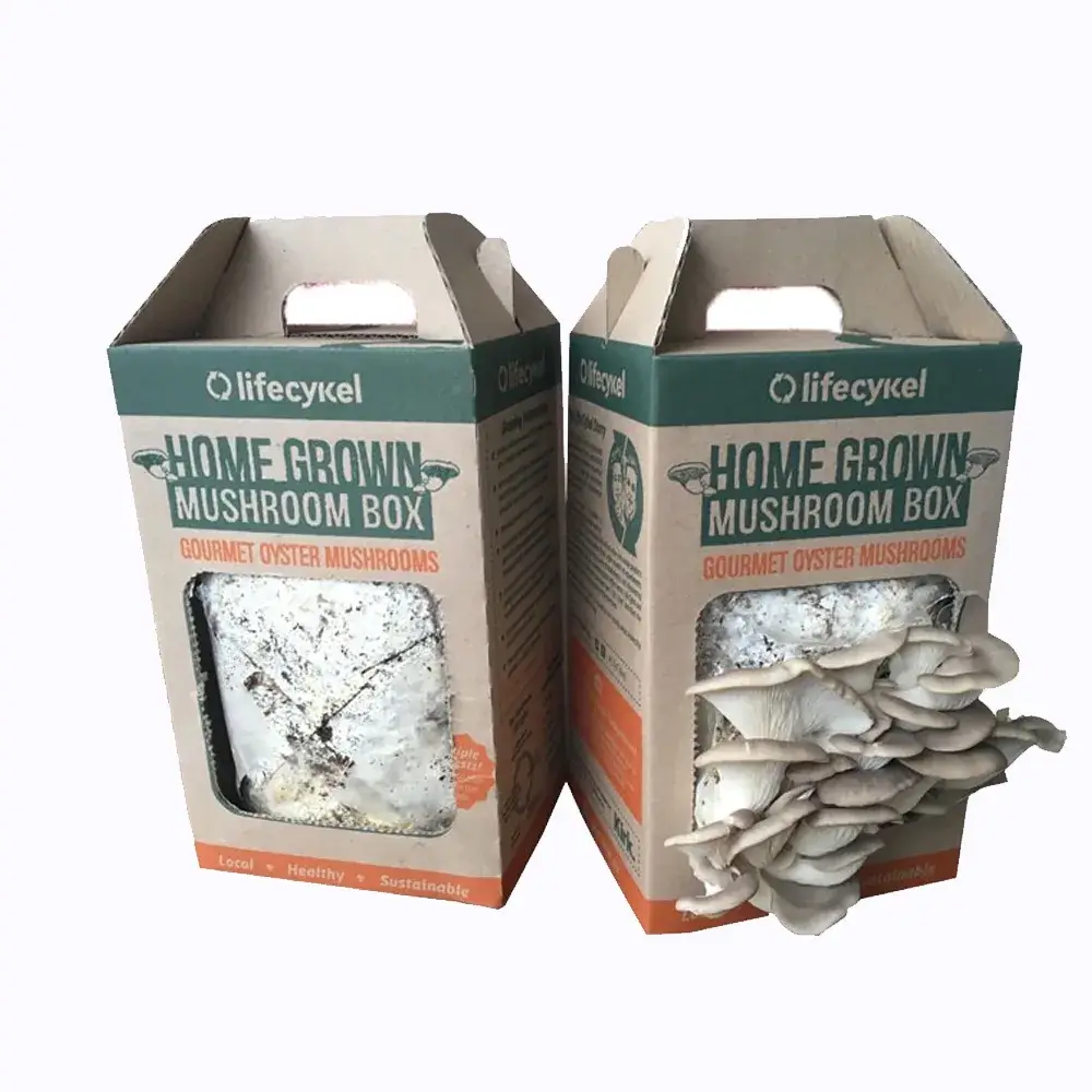 Cardboard Mushroom Boxes3 (1)