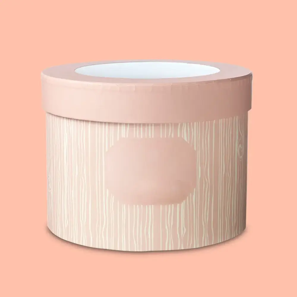 Clear Hat Boxes 2 (1)