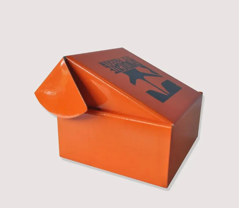 Colored Mailer Box3 (1)