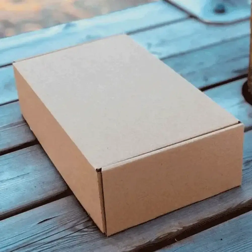 Custom Brown Kraft Boxes3 (1)